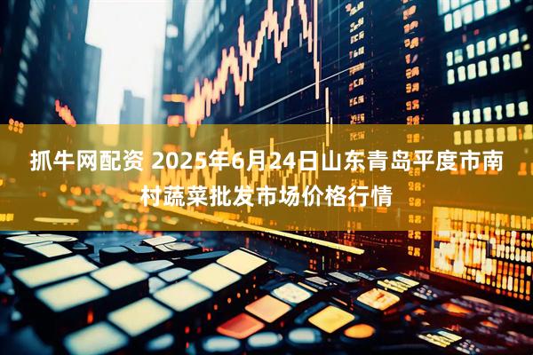 抓牛网配资 2025年6月24日山东青岛平度市南村蔬菜批发市场价格行情