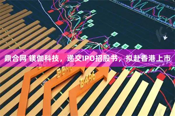 鼎合网 镁伽科技，递交IPO招股书，拟赴香港上市