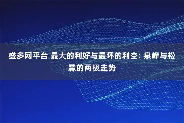 盛多网平台 最大的利好与最坏的利空: 泉峰与松霖的两极走势