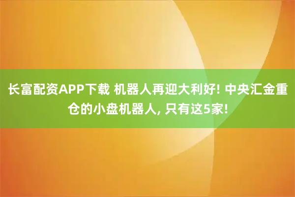 长富配资APP下载 机器人再迎大利好! 中央汇金重仓的小盘机器人, 只有这5家!