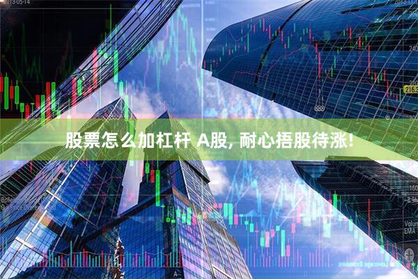 股票怎么加杠杆 A股, 耐心捂股待涨!