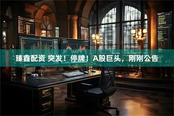 臻鑫配资 突发！停牌！A股巨头，刚刚公告