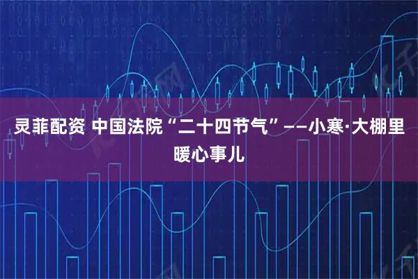 灵菲配资 中国法院“二十四节气”——小寒·大棚里暖心事儿