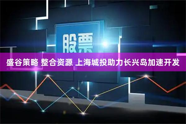 盛谷策略 整合资源 上海城投助力长兴岛加速开发