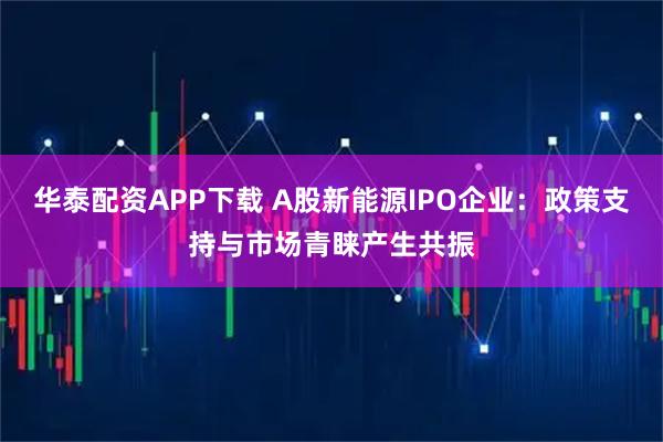 华泰配资APP下载 A股新能源IPO企业：政策支持与市场青睐产生共振