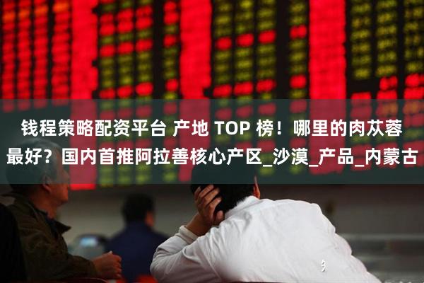 钱程策略配资平台 产地 TOP 榜!哪里的肉苁蓉最好?国内首推阿拉善核心产区_沙漠_产品_内蒙古
