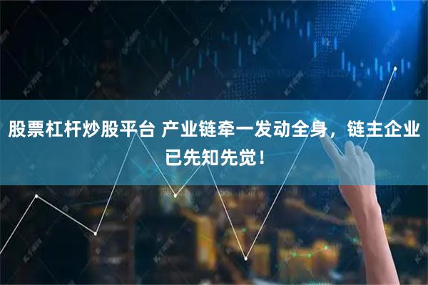 股票杠杆炒股平台 产业链牵一发动全身，链主企业已先知先觉！